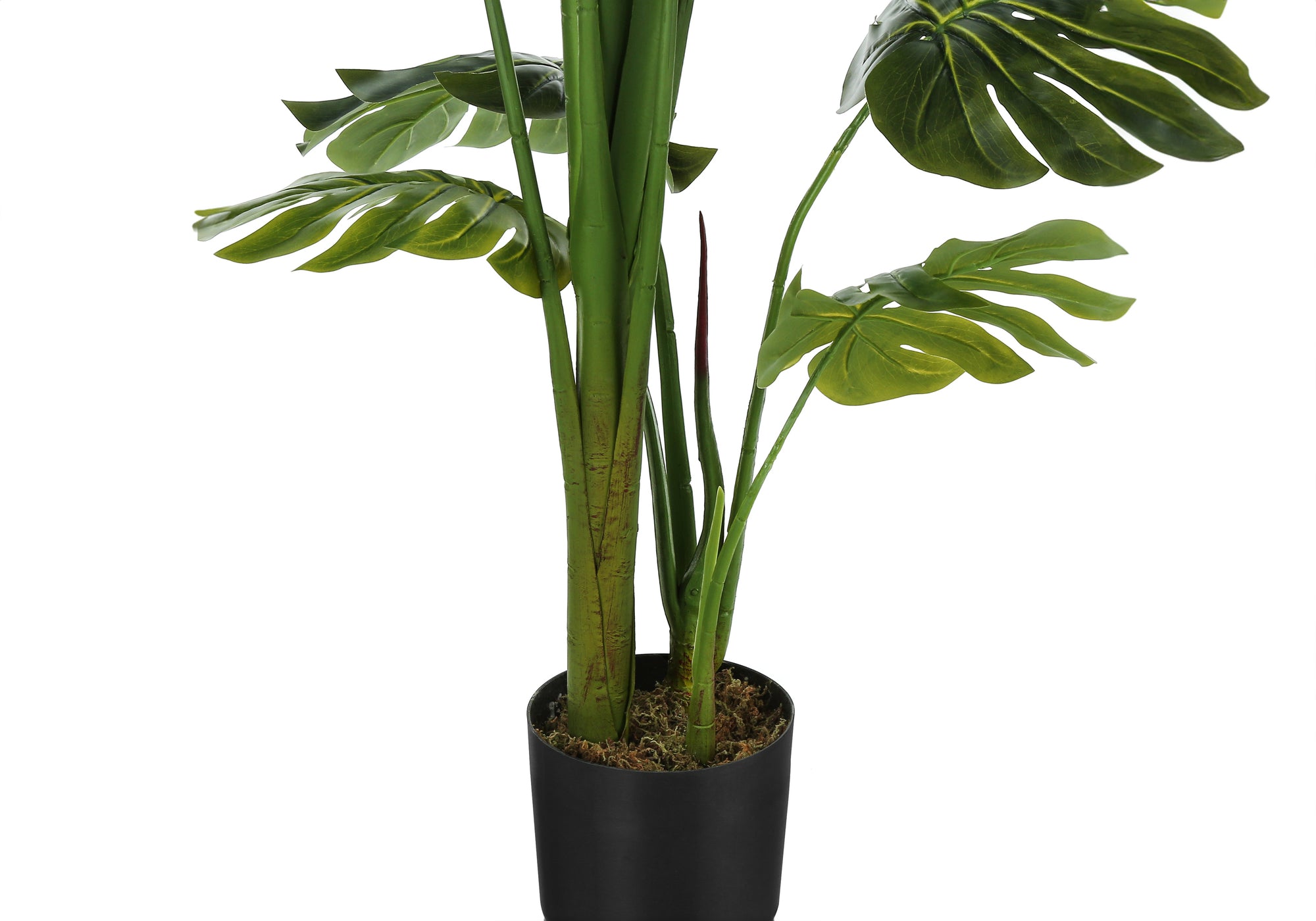 ARTIFICIAL PLANT - 55""H / INDOOR MONSTERA IN A 6"" POT