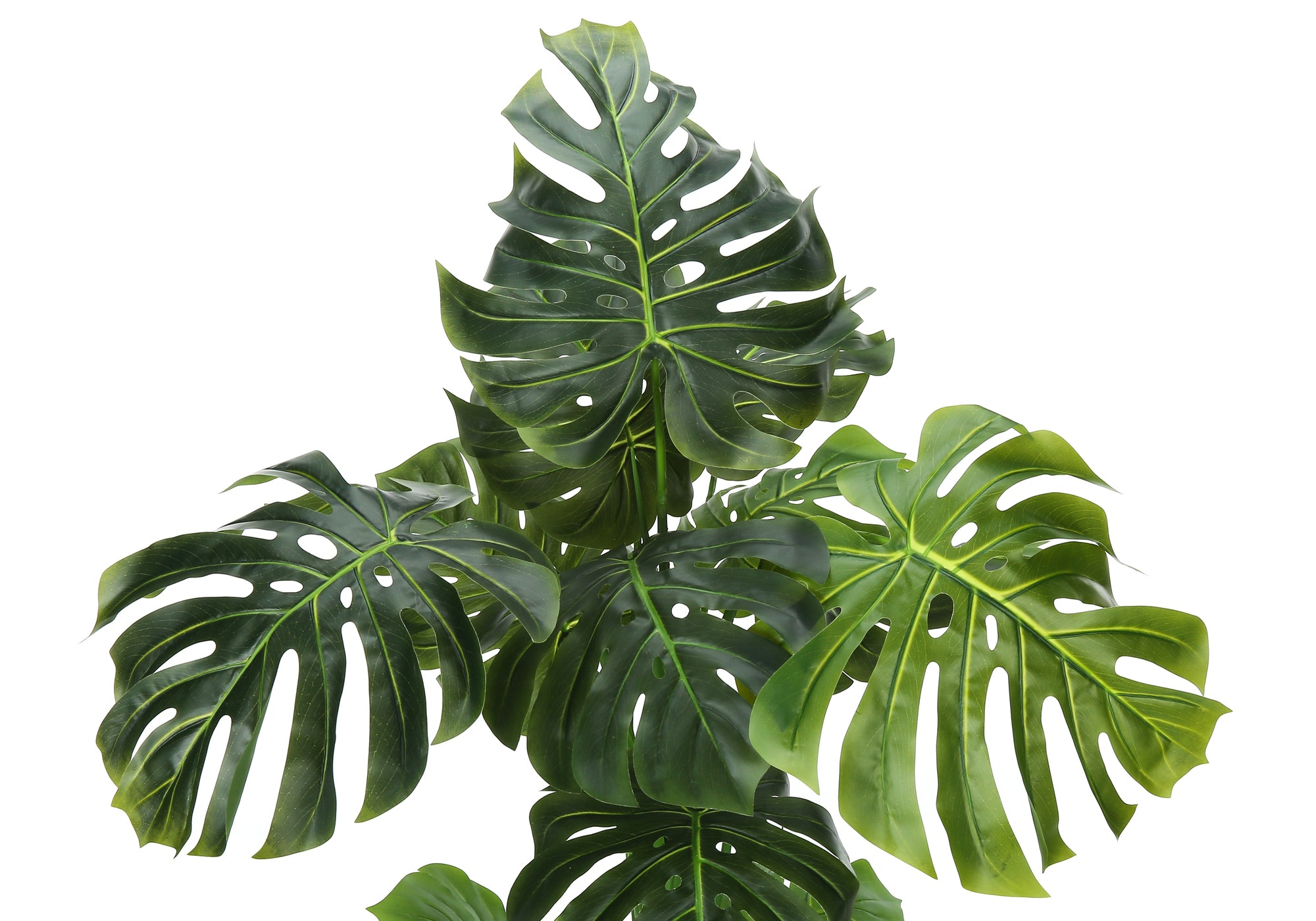 ARTIFICIAL PLANT - 55""H / INDOOR MONSTERA IN A 6"" POT