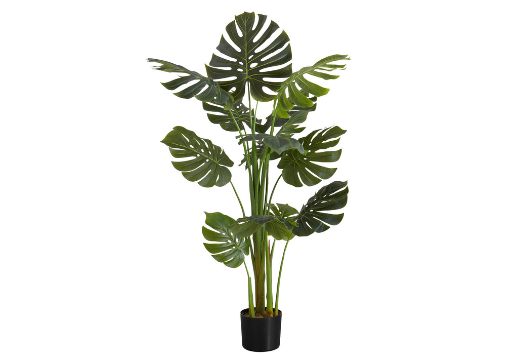 ARTIFICIAL PLANT - 55""H / INDOOR MONSTERA IN A 6"" POT