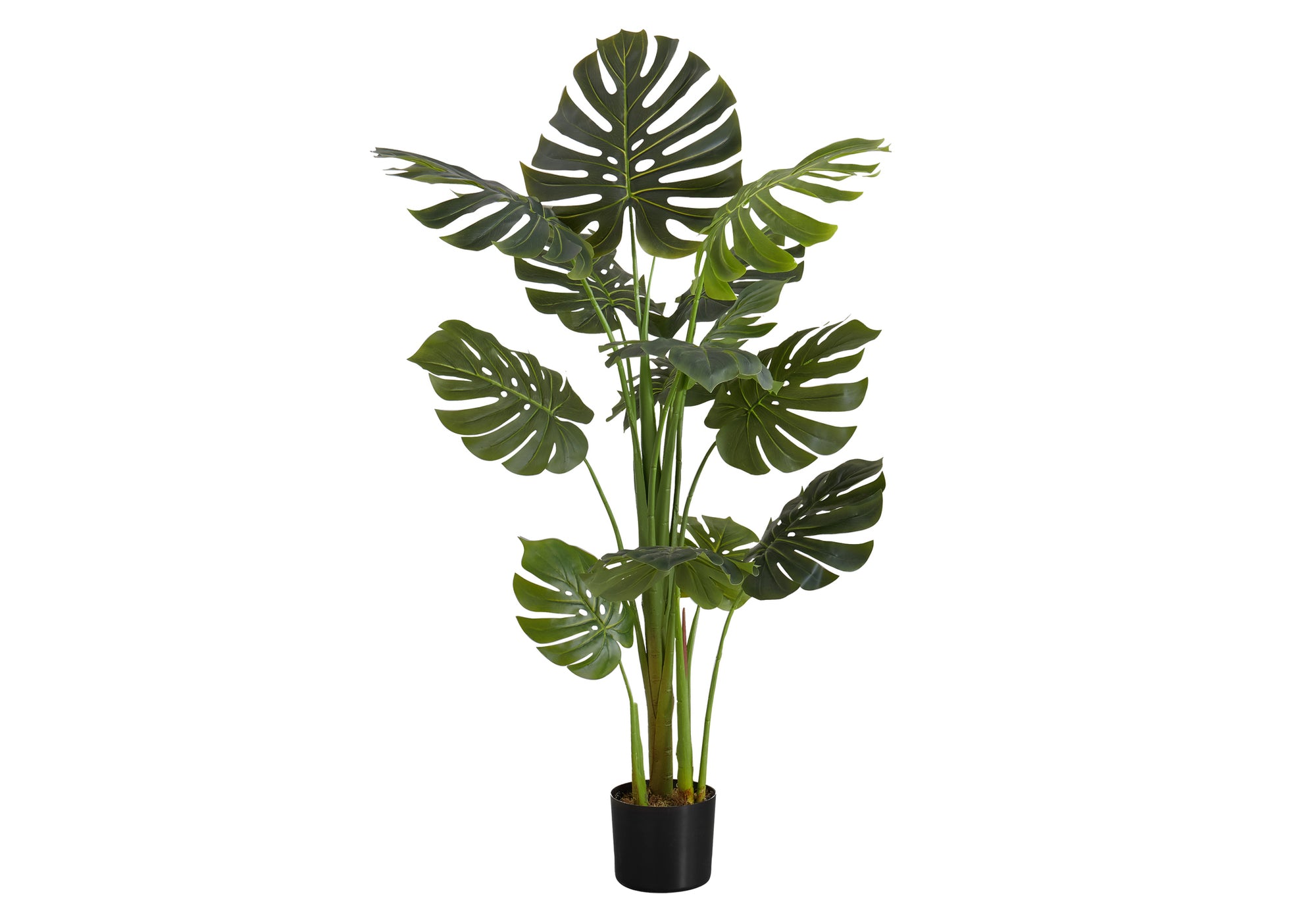 ARTIFICIAL PLANT - 55""H / INDOOR MONSTERA IN A 6"" POT