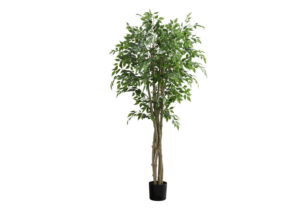 ARTIFICIAL PLANT - 79""H / INDOOR FICUS TREE IN A 8"" POT