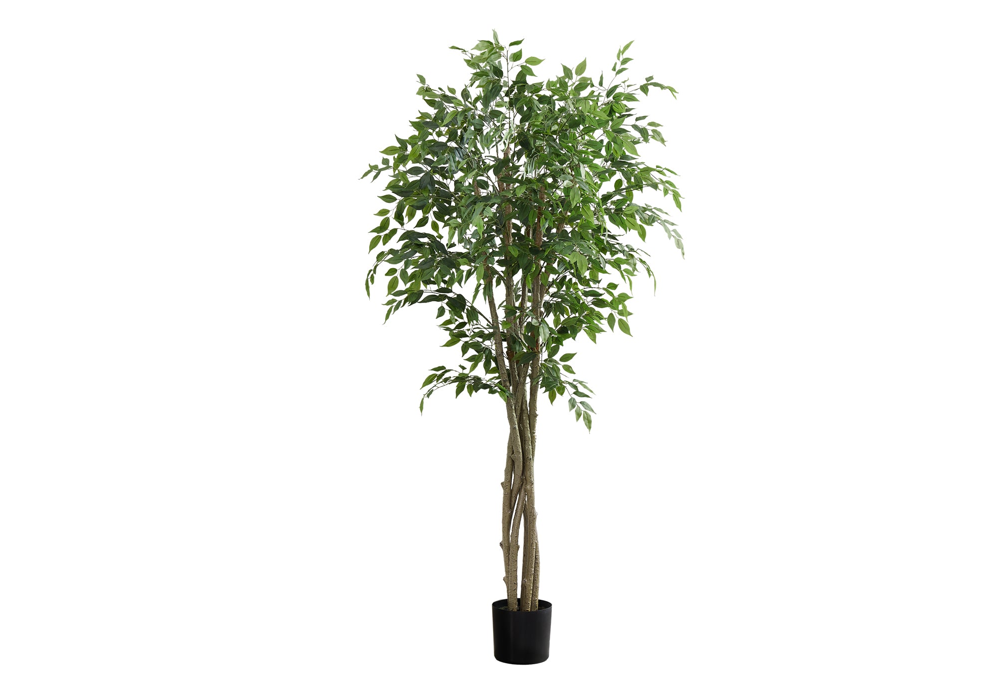 ARTIFICIAL PLANT - 79""H / INDOOR FICUS TREE IN A 8"" POT