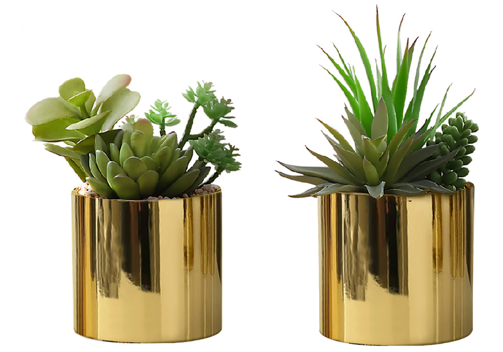 ARTIFICIAL PLANT - 2PCS / 7""H SUCCULENT IN 3"" GOLD POT