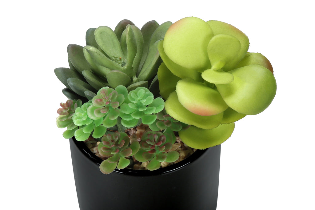 ARTIFICIAL PLANT - 2PCS / 7""H SUCCULENT IN 3"" BLACK POT