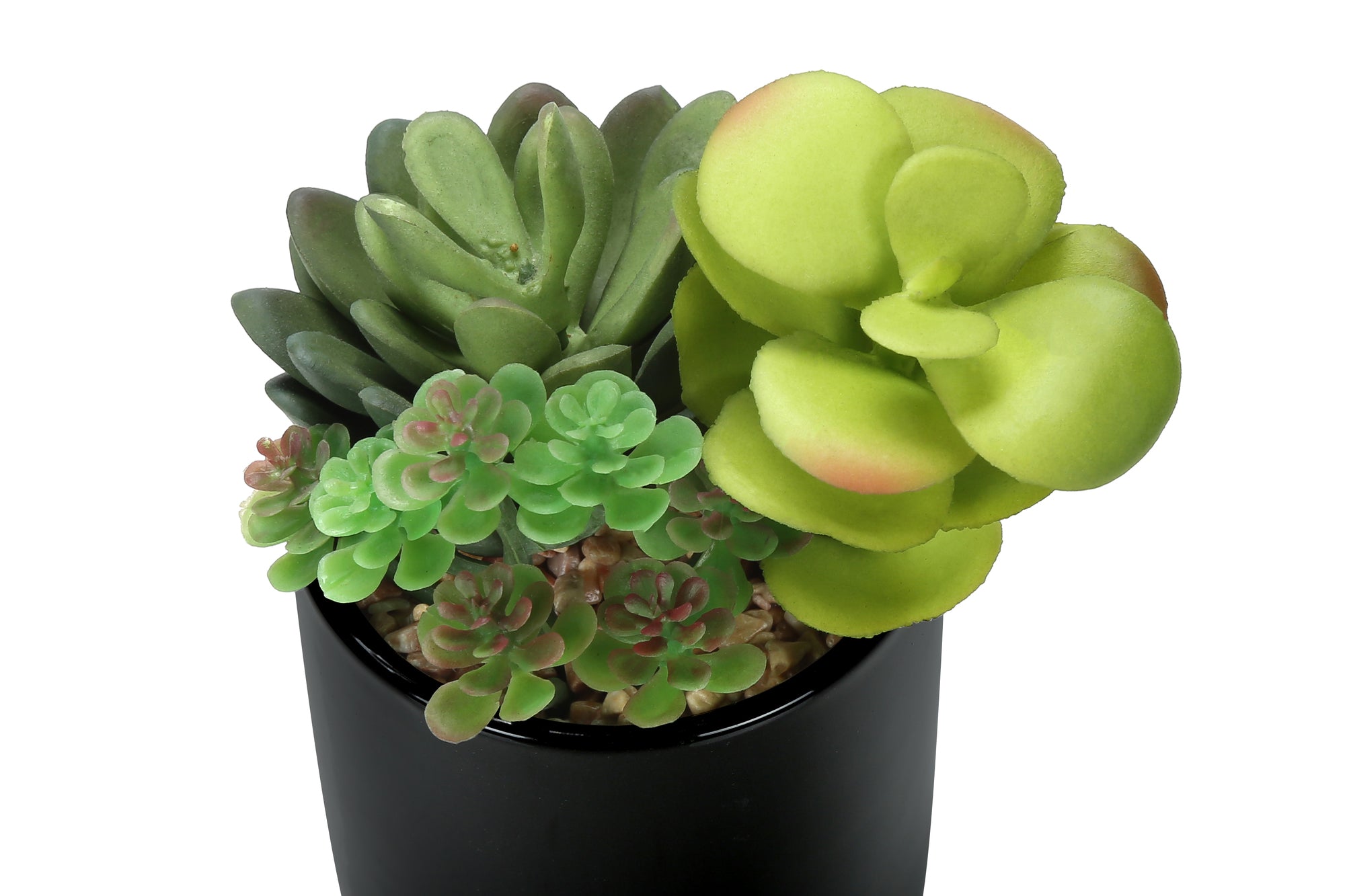 ARTIFICIAL PLANT - 2PCS / 7""H SUCCULENT IN 3"" BLACK POT