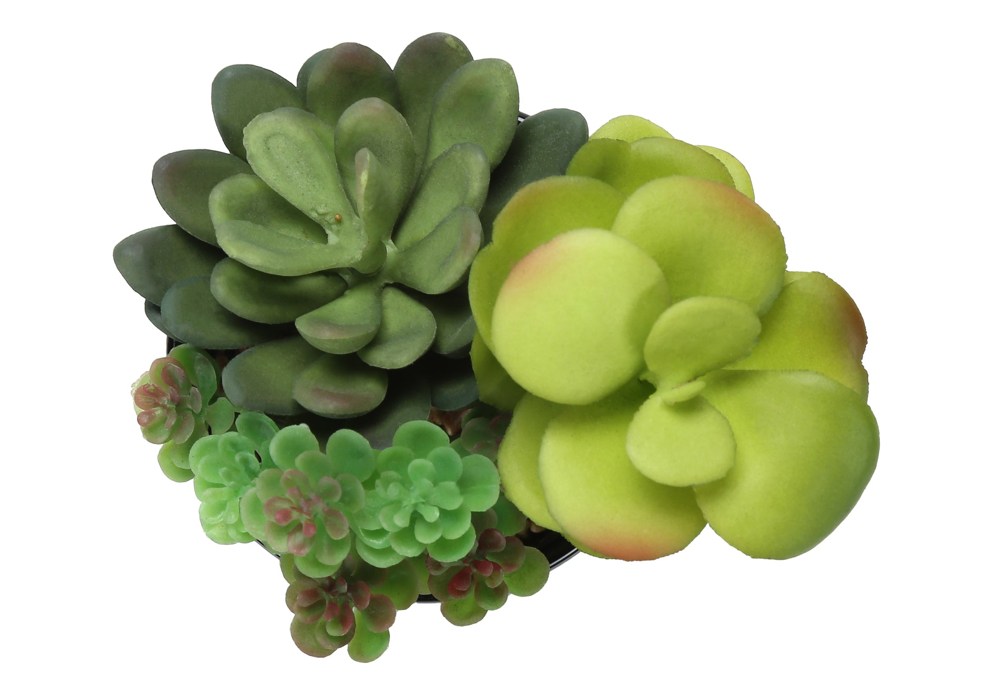 ARTIFICIAL PLANT - 2PCS / 7""H SUCCULENT IN 3"" BLACK POT