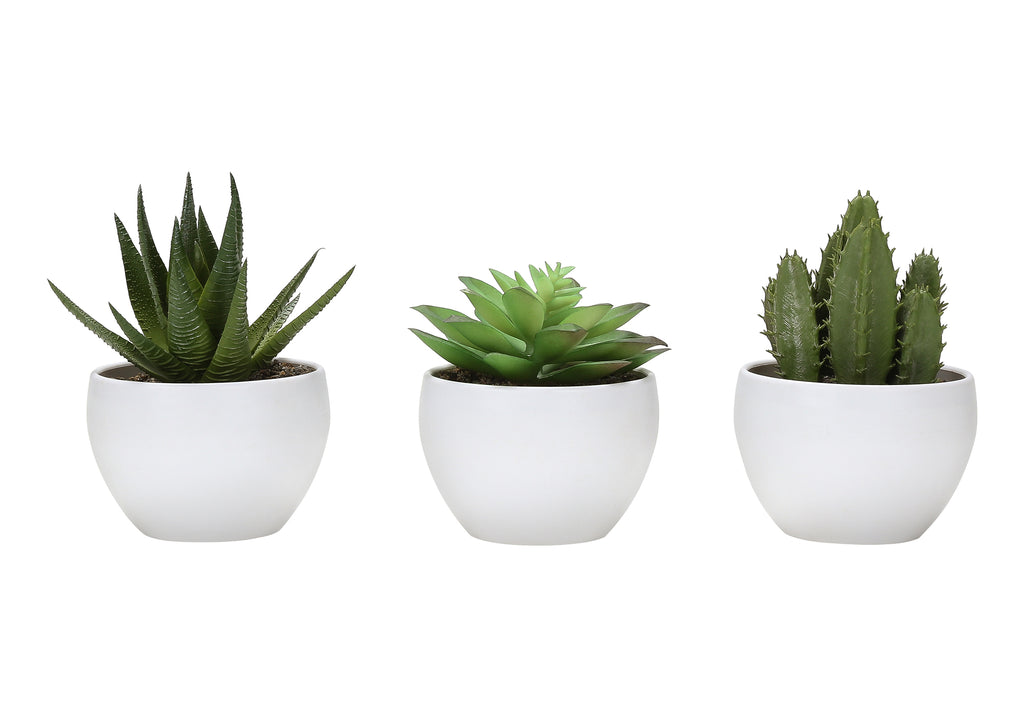 ARTIFICIAL PLANT - 3PCS / 6""H SUCCULENT IN A 3"" WHITE POT