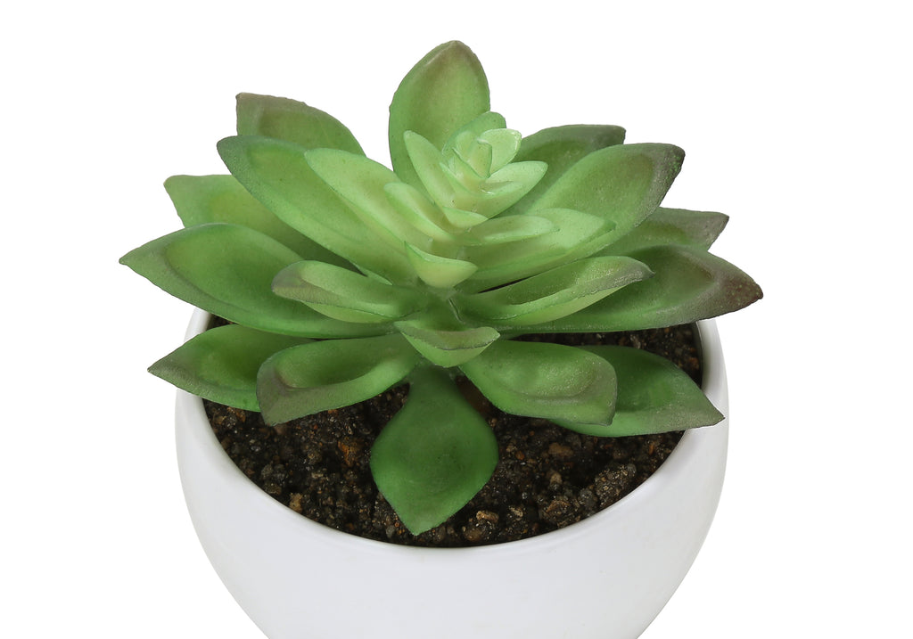 ARTIFICIAL PLANT - 3PCS / 6""H SUCCULENT IN A 3"" WHITE POT