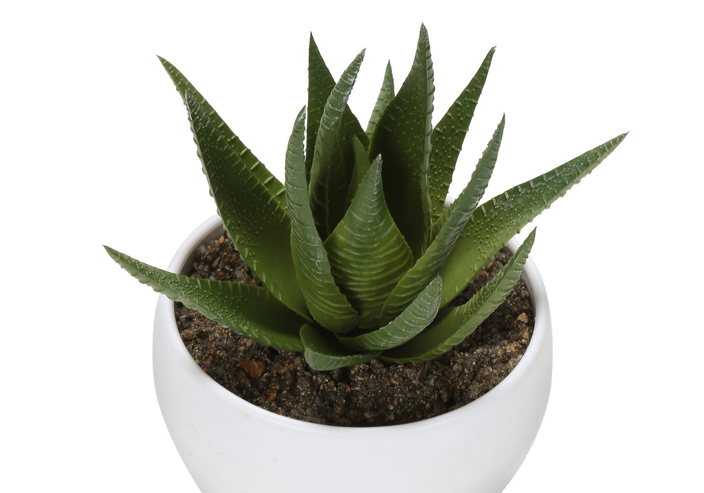 ARTIFICIAL PLANT - 3PCS / 6""H SUCCULENT IN A 3"" WHITE POT