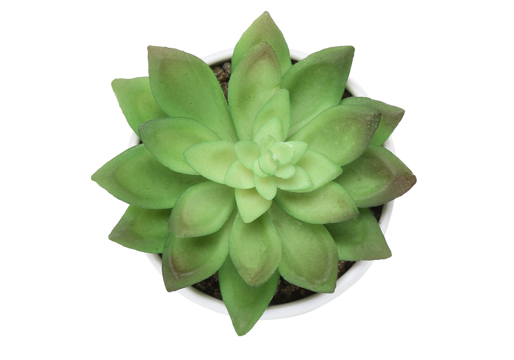 ARTIFICIAL PLANT - 3PCS / 6""H SUCCULENT IN A 3"" WHITE POT