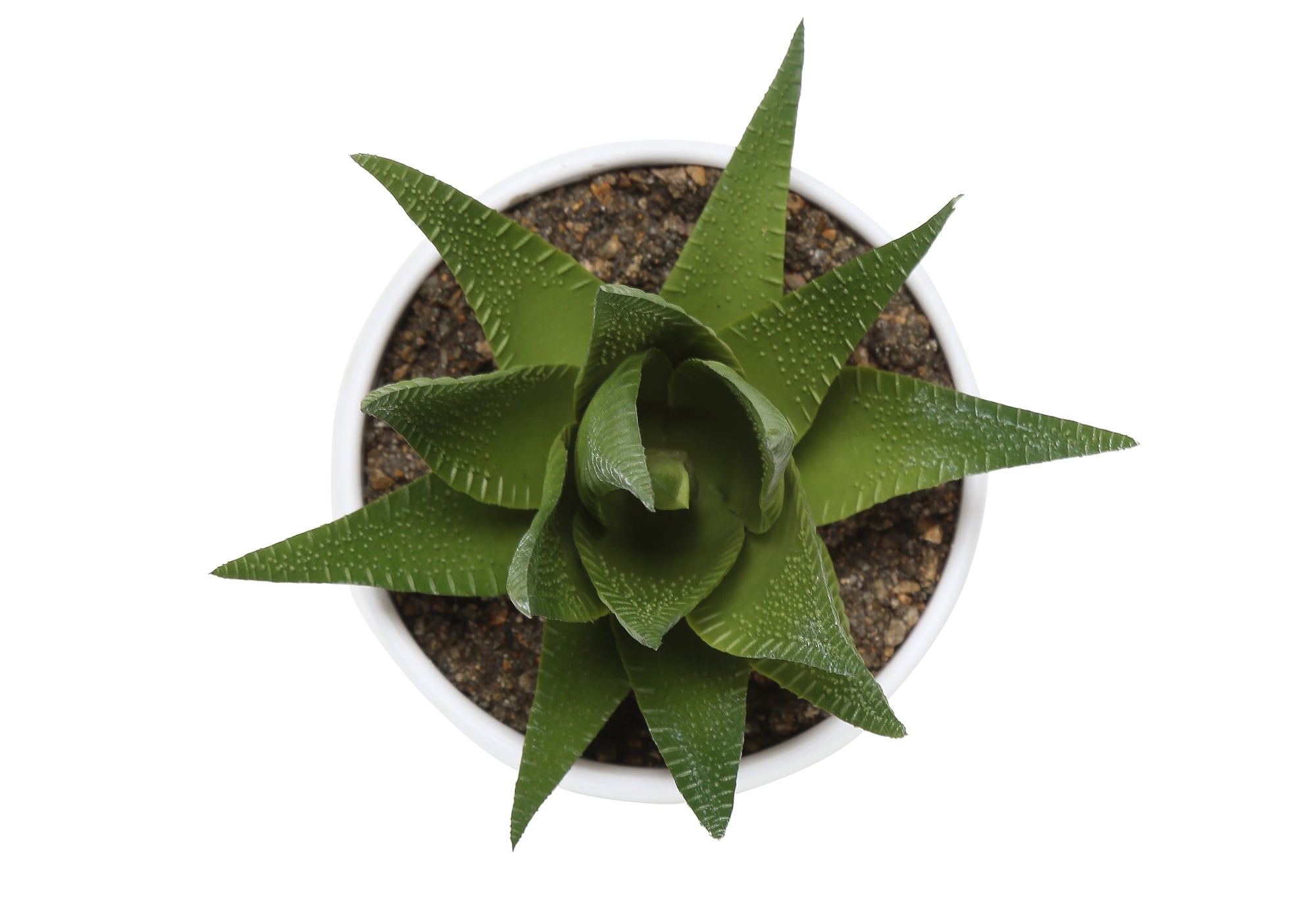 ARTIFICIAL PLANT - 3PCS / 6""H SUCCULENT IN A 3"" WHITE POT