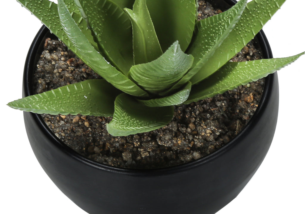 ARTIFICIAL PLANT - 3PCS / 6""H SUCCULENT IN A 3"" BLACK POT