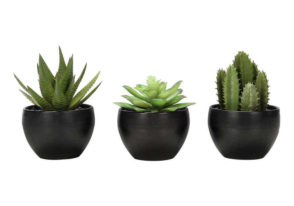 ARTIFICIAL PLANT - 3PCS / 6""H SUCCULENT IN A 3"" BLACK POT