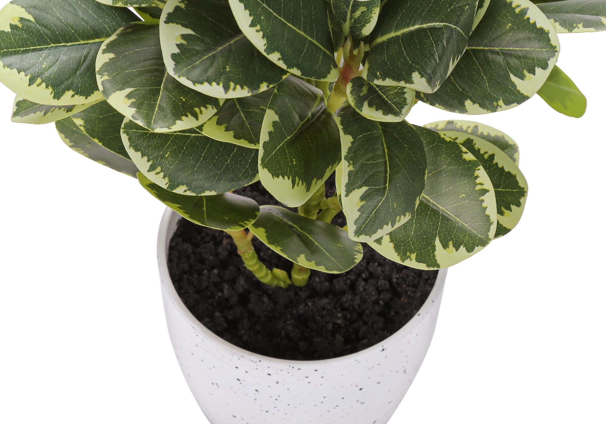 ARTIFICIAL PLANT - 2PCS / 14""H FICUS ELASTICA / 4"" POT