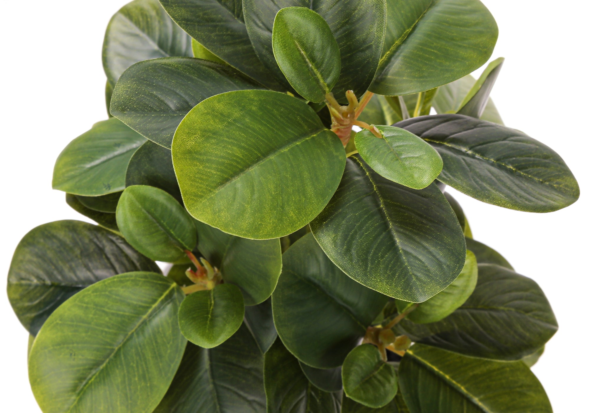 ARTIFICIAL PLANT - 2PCS / 14""H FICUS ELASTICA / 4"" POT