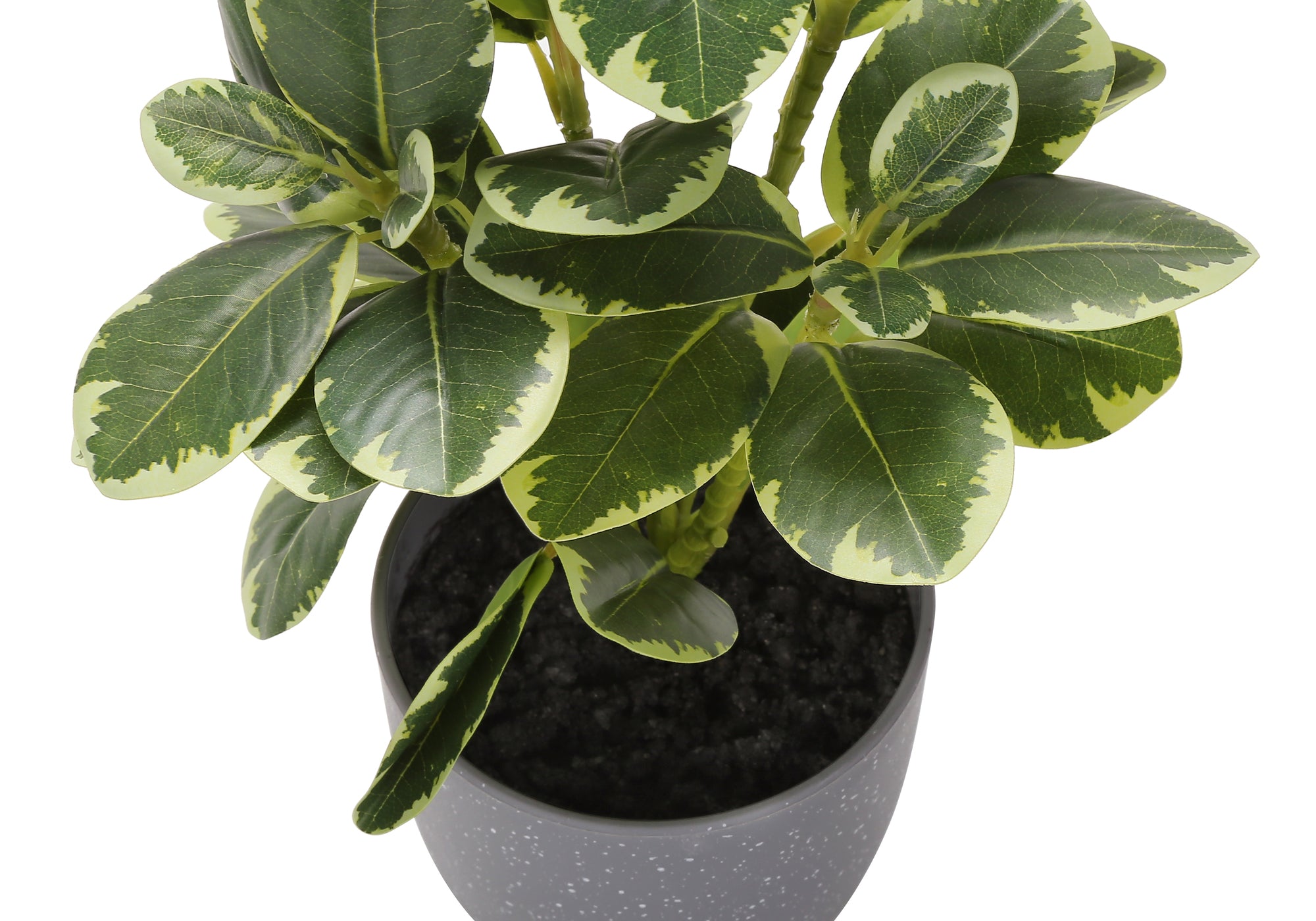 ARTIFICIAL PLANT - 2PCS / 14""H FICUS ELASTICA / 4"" POT