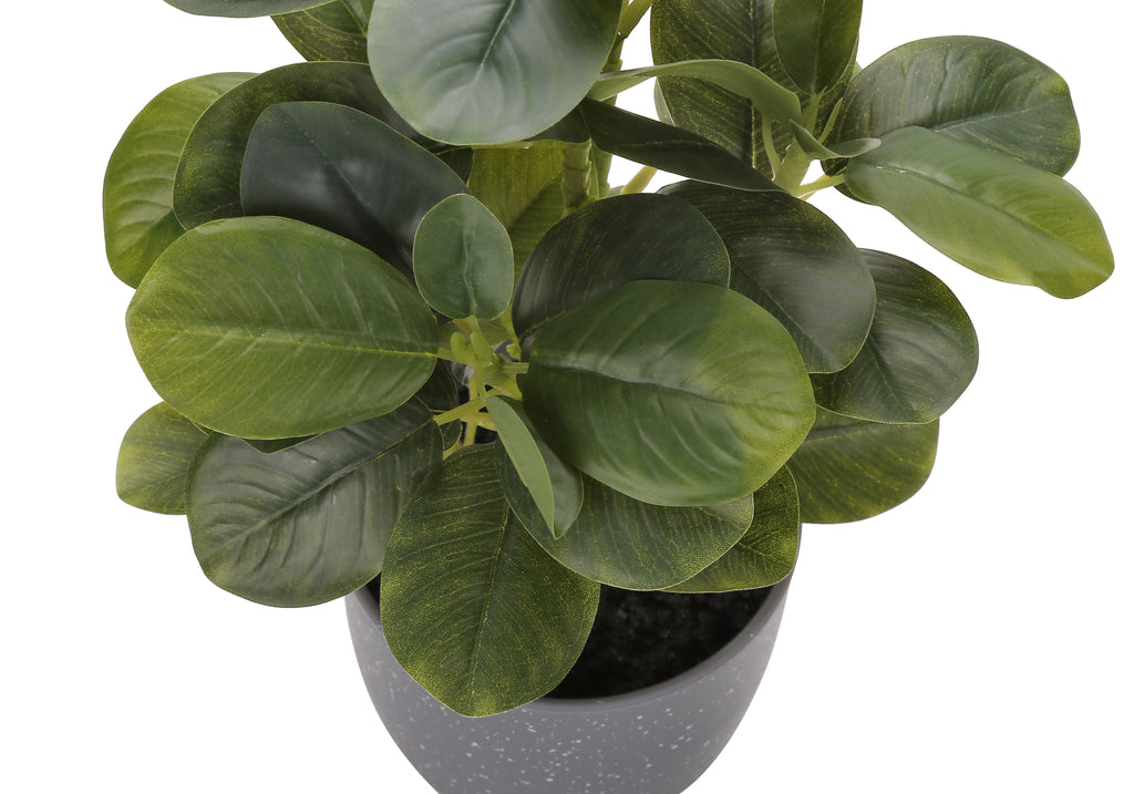 ARTIFICIAL PLANT - 2PCS / 14""H FICUS ELASTICA / 4"" POT