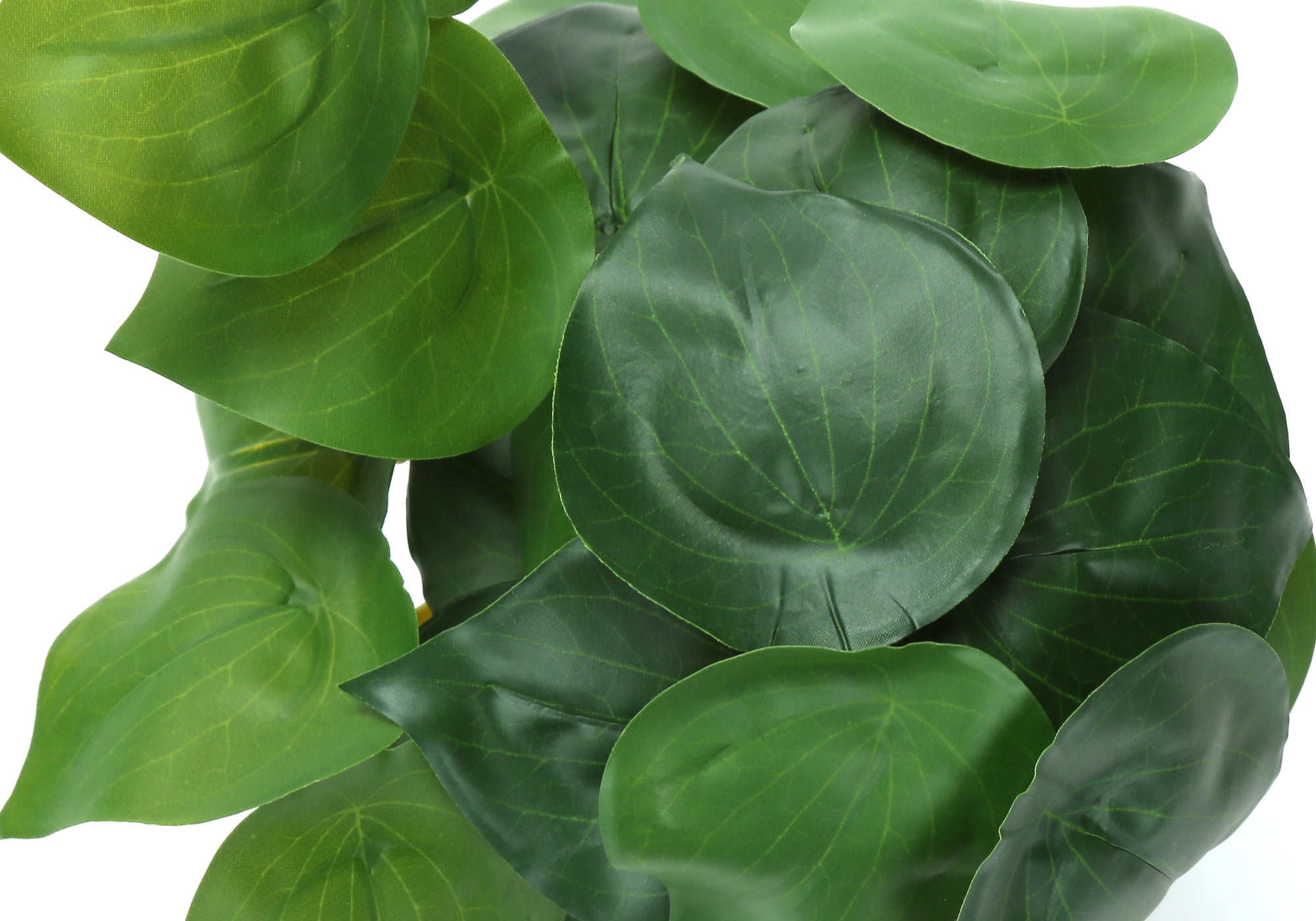 ARTIFICIAL PLANT - 2PCS / 8""H ALOCASIA / 5"" BLACK POT