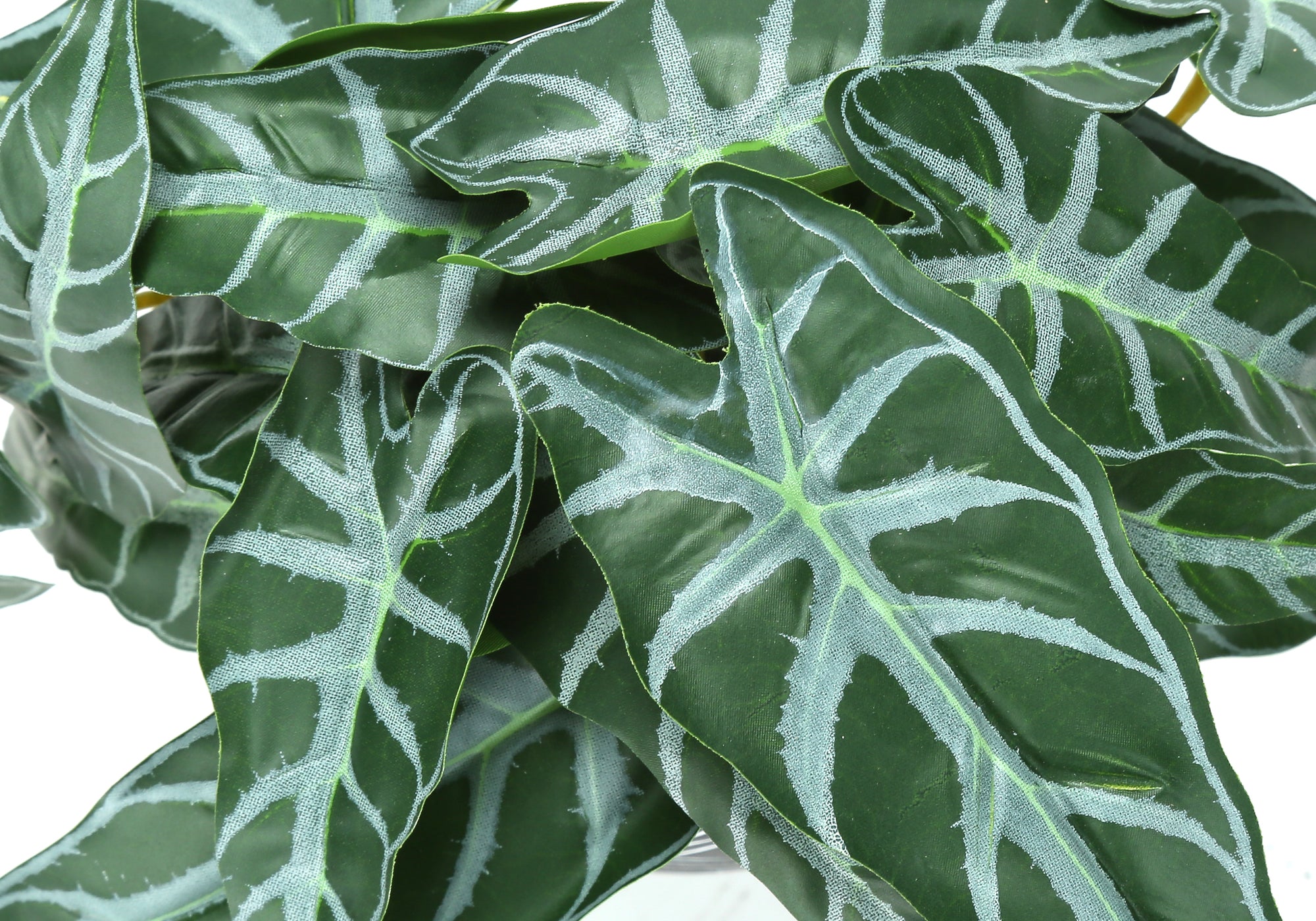 ARTIFICIAL PLANT - 2PCS / 8""H ALOCASIA / 5"" BLACK POT