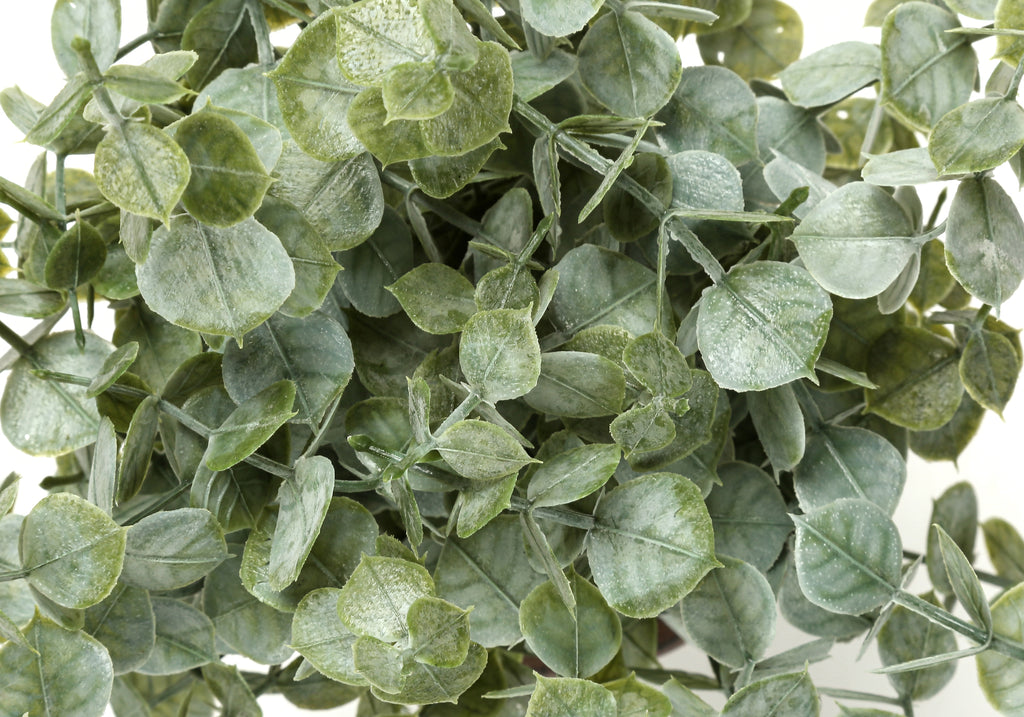 ARTIFICIAL PLANT - 2PCS / 13""H EUCALYPTUS / GRASS/ 4"" POT