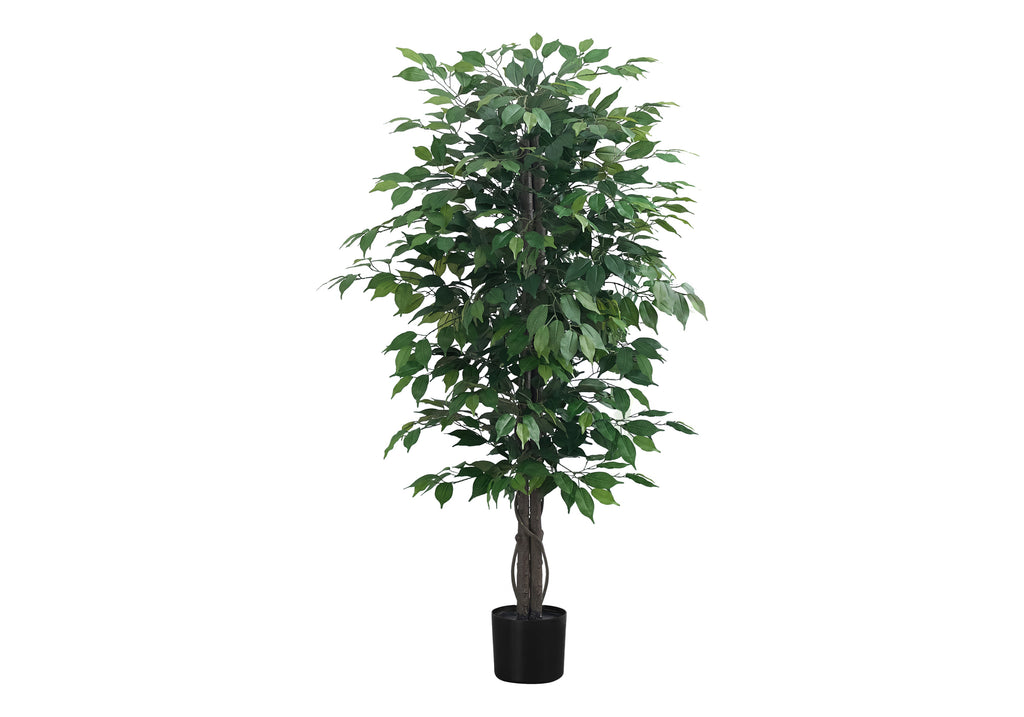 ARTIFICIAL PLANT - 58""H / INDOOR FICUS TREE IN A 6"" POT