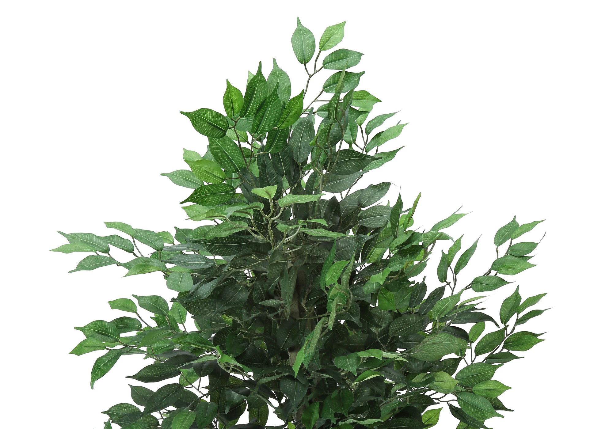 ARTIFICIAL PLANT - 58""H / INDOOR FICUS TREE IN A 6"" POT
