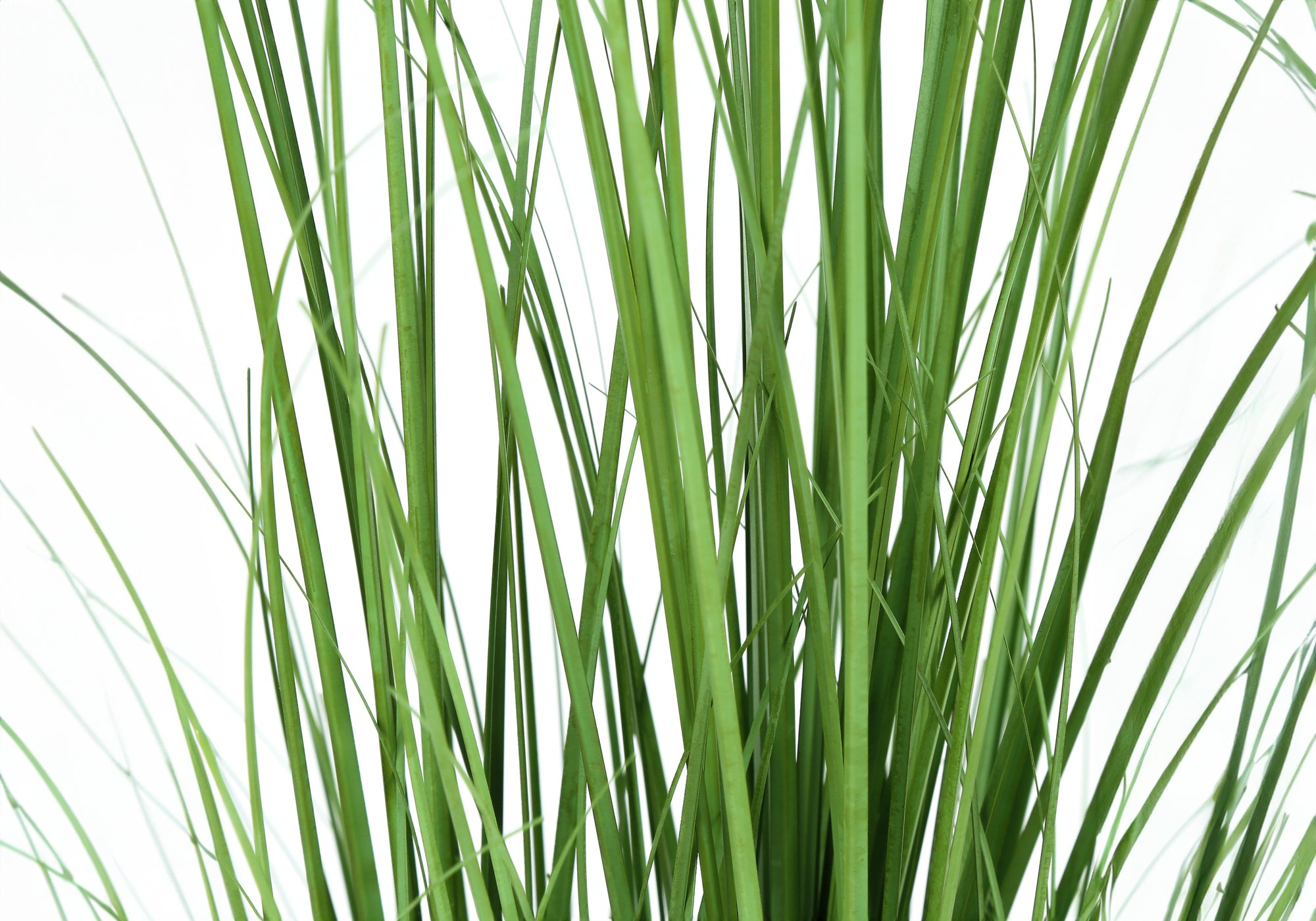 ARTIFICIAL PLANT - 47""H / INDOOR GRASS IN A 5"" POT