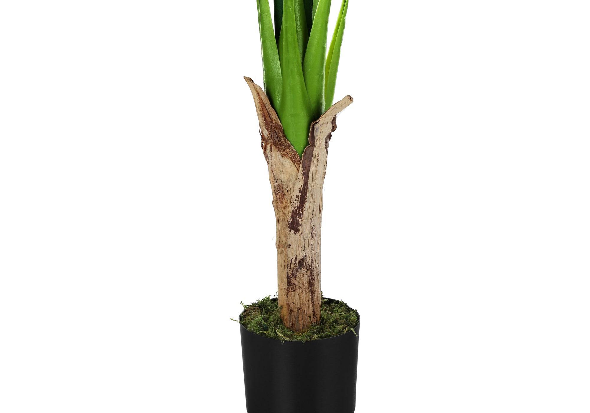 ARTIFICIAL PLANT - 43""H / INDOOR BANANA TREE IN A 5"" POT