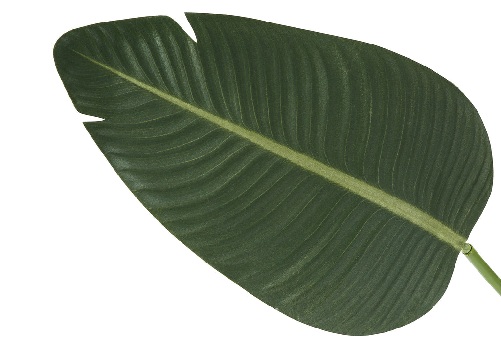 ARTIFICIAL PLANT - 60""H / INDOOR BIRD OF PARADISE 5"" POT