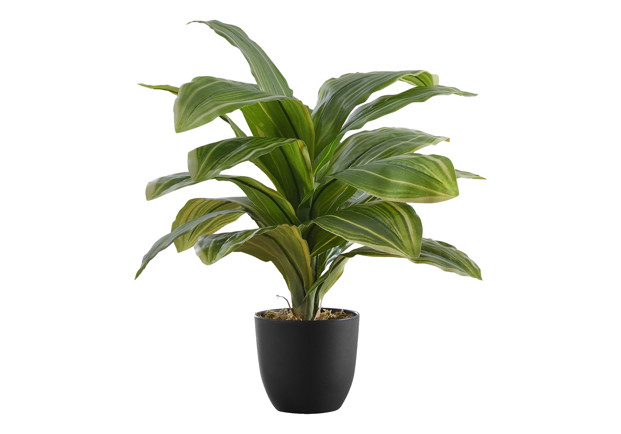 ARTIFICIAL PLANT - 17""H / INDOOR DRACAENA IN A 4"" POT
