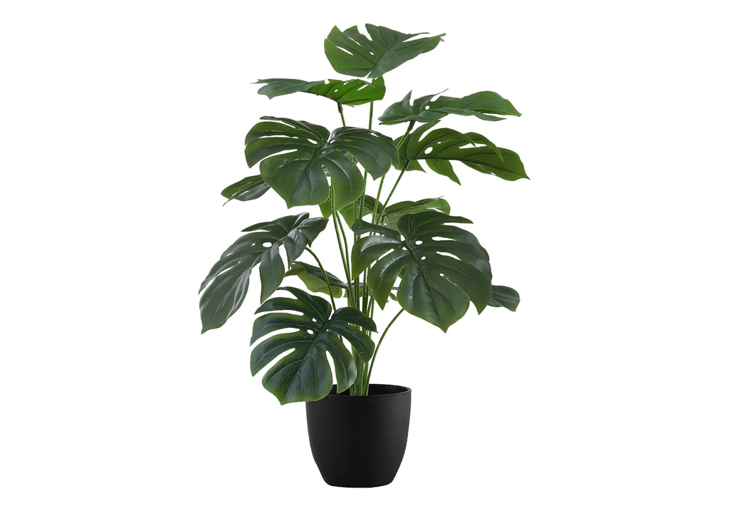 ARTIFICIAL PLANT - 24""H / INDOOR MONSTERA / 5"" BLACK POT