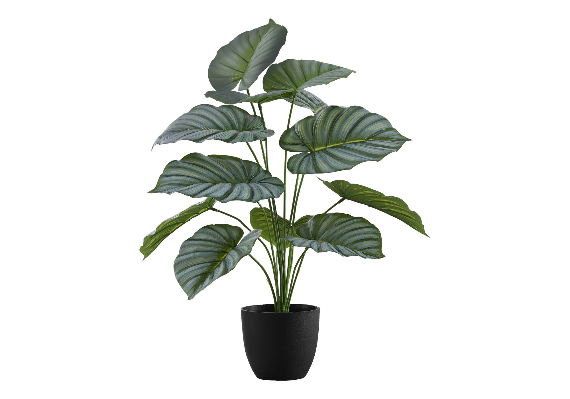 ARTIFICIAL PLANT - 24""H / INDOOR CALATHEA IN A 5"" POT