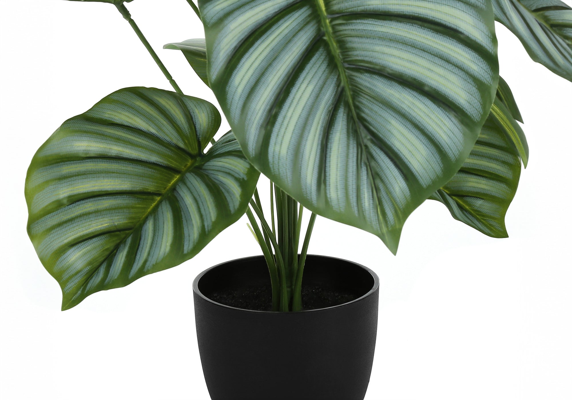 ARTIFICIAL PLANT - 24""H / INDOOR CALATHEA IN A 5"" POT