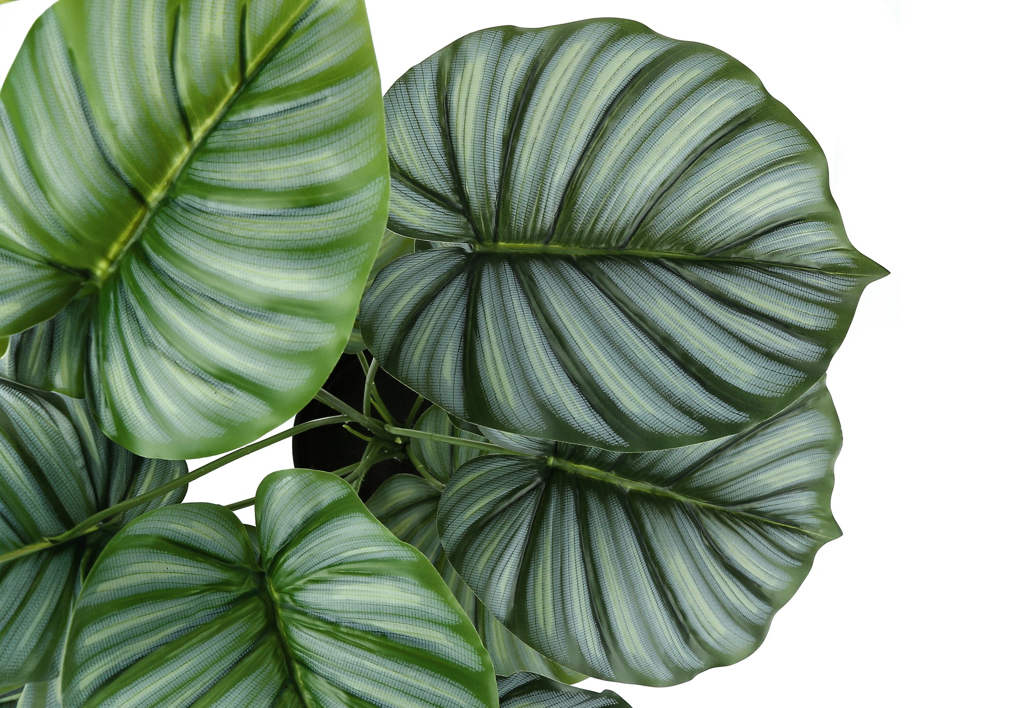 ARTIFICIAL PLANT - 24""H / INDOOR CALATHEA IN A 5"" POT