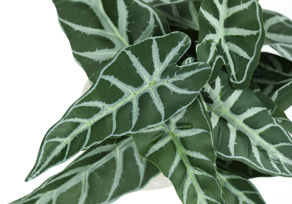 ARTIFICIAL PLANT - 2PCS / 8""H ALOCASIA / 5"" CEMENT POT