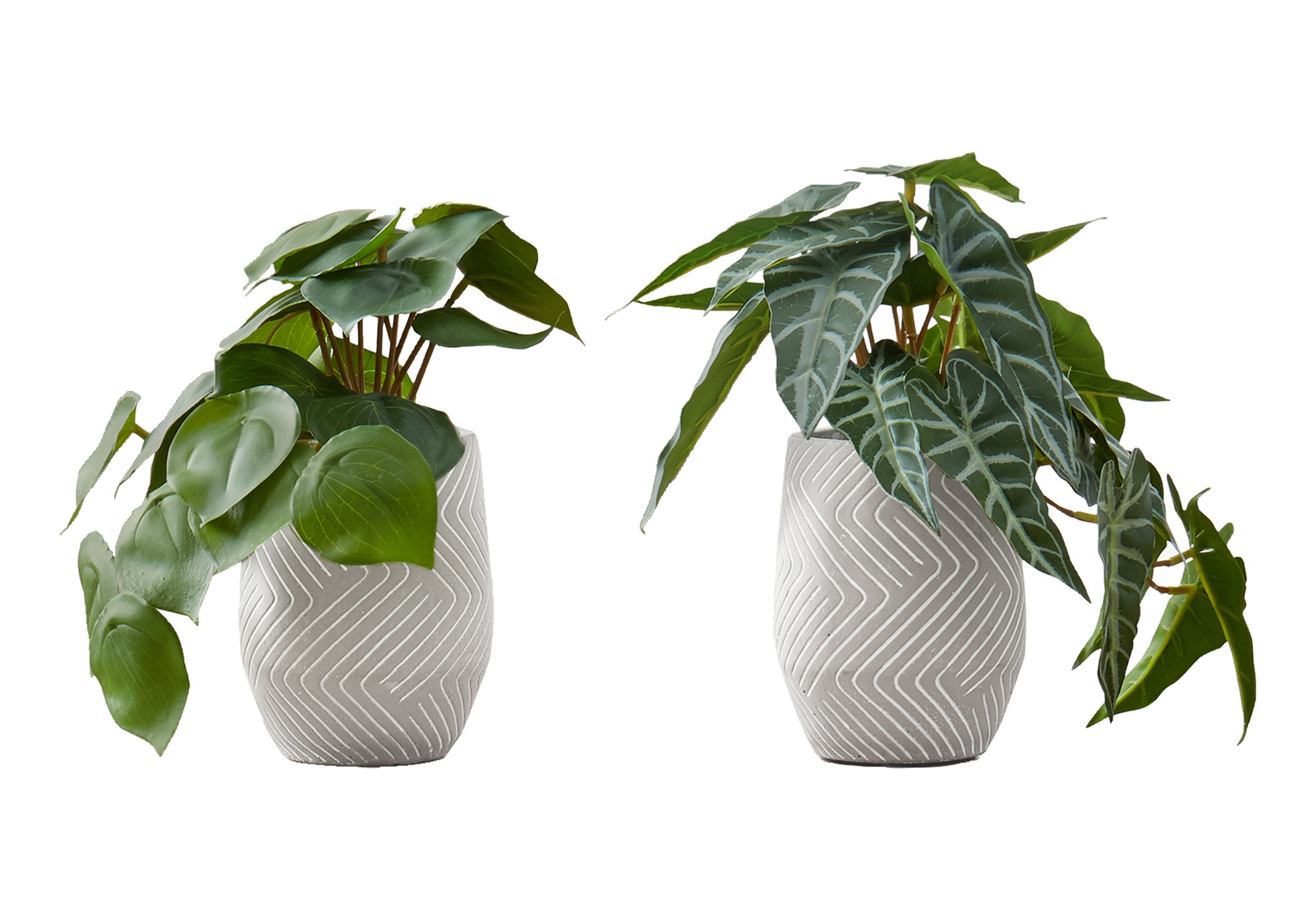 ARTIFICIAL PLANT - 2PCS / 8""H ALOCASIA / 5"" CEMENT POT