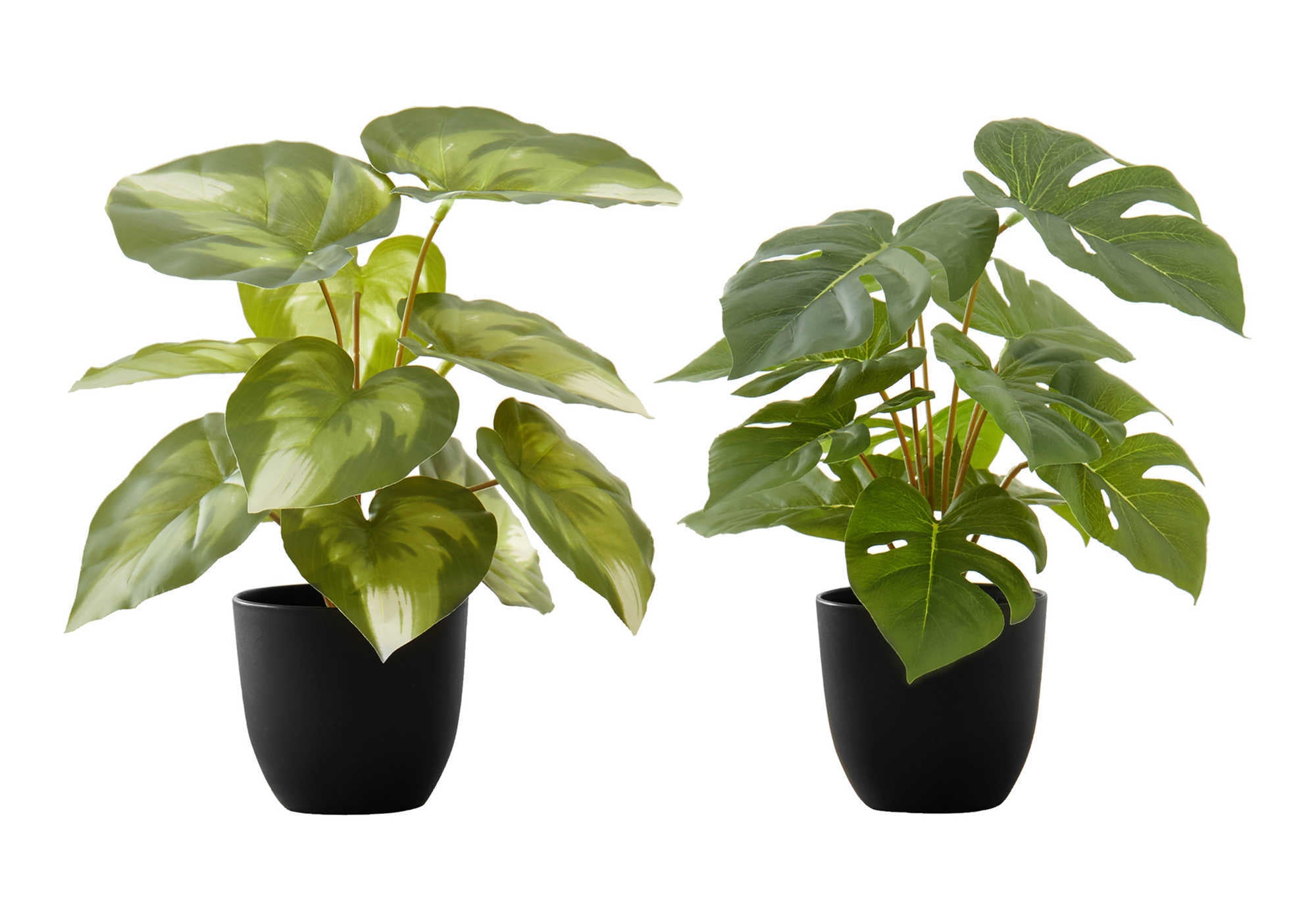 ARTIFICIAL PLANT - 2PCS / 13""H MONSTERA/CALATHEA/ 4"" POT