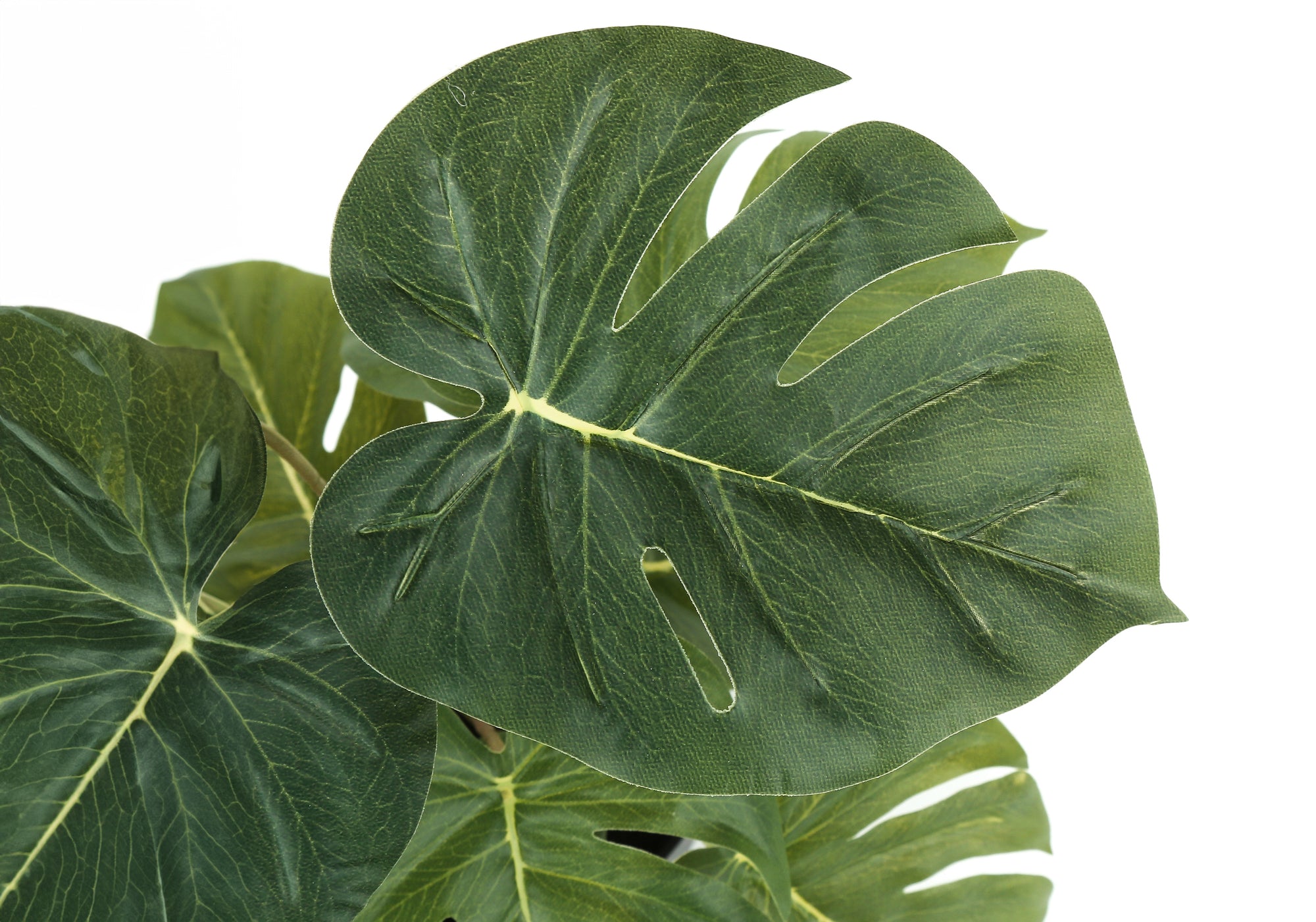 ARTIFICIAL PLANT - 2PCS / 13""H MONSTERA/CALATHEA/ 4"" POT