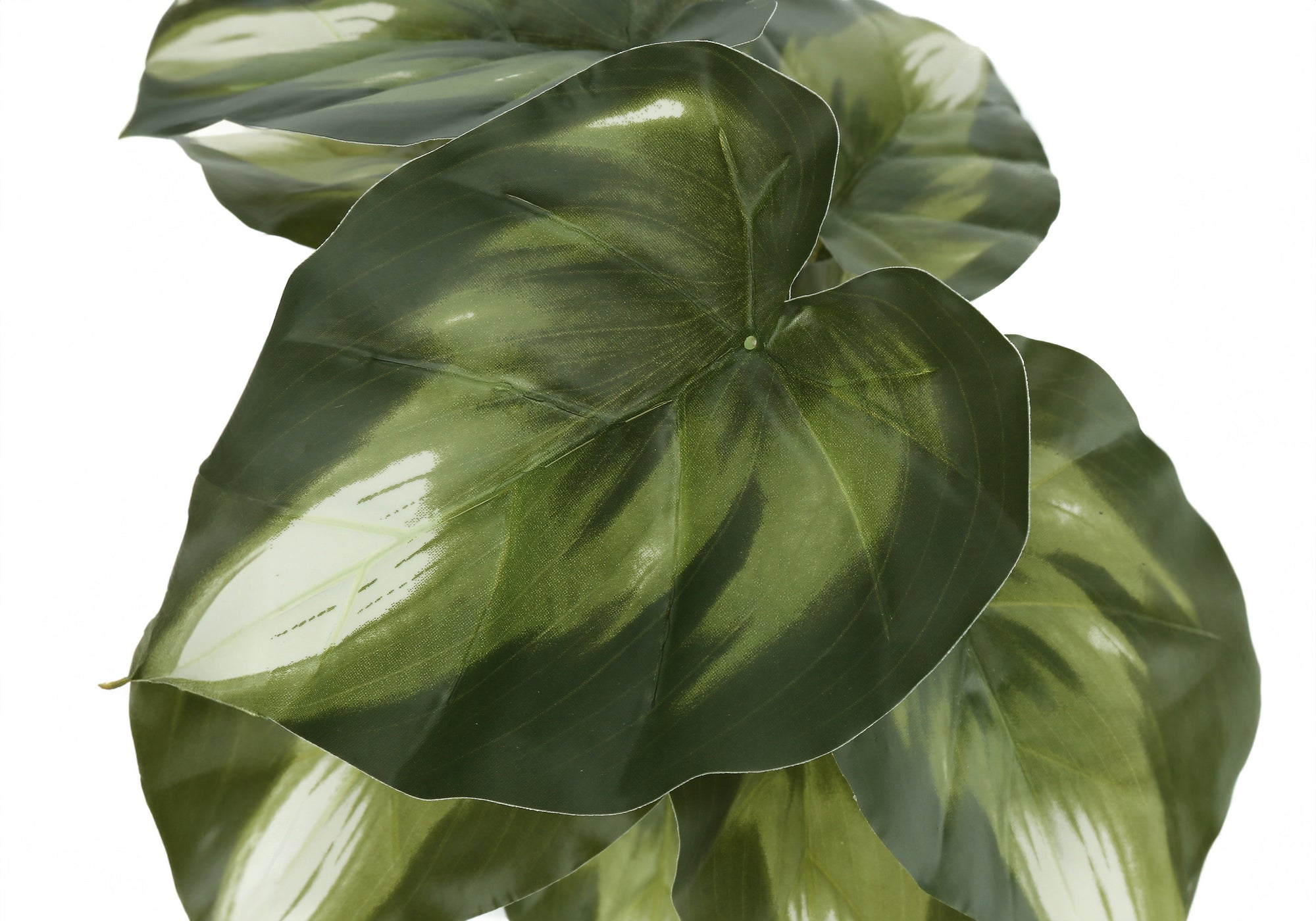 ARTIFICIAL PLANT - 2PCS / 13""H MONSTERA/CALATHEA/ 4"" POT