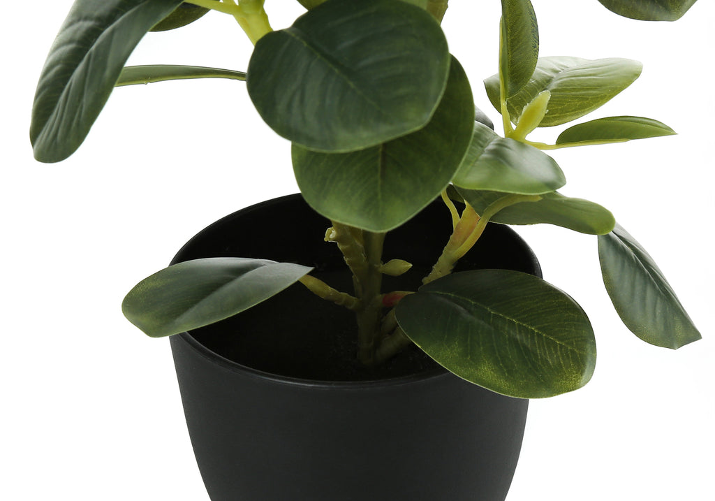 ARTIFICIAL PLANT - 2PCS / 14""H FICUS ELASTICA IN 4"" POT