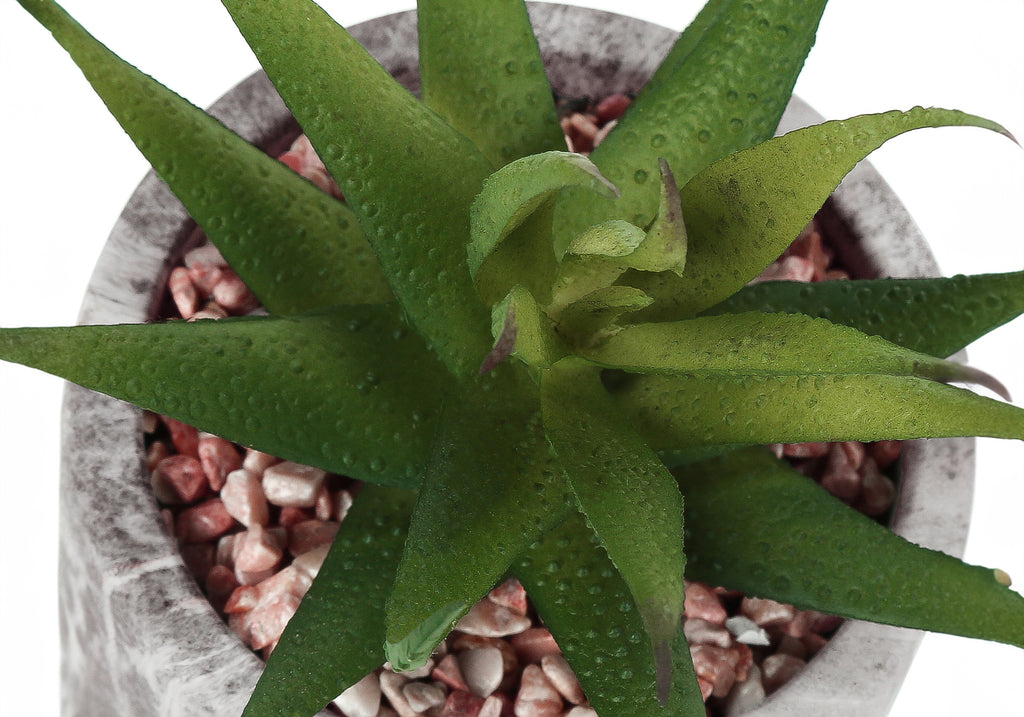 ARTIFICIAL PLANT - 2PCS / 7""H SUCCULENT IN 4"" CEMENT POT