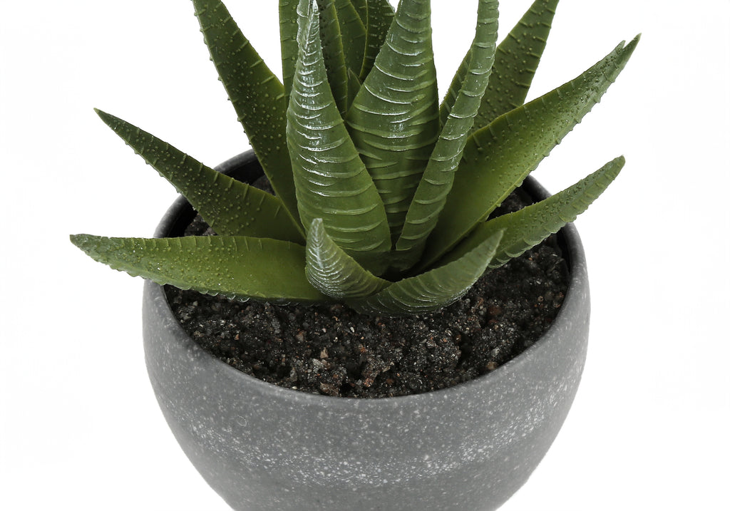 ARTIFICIAL PLANT - 3PCS / 6""H SUCCULENT IN A 3"" GREY POT