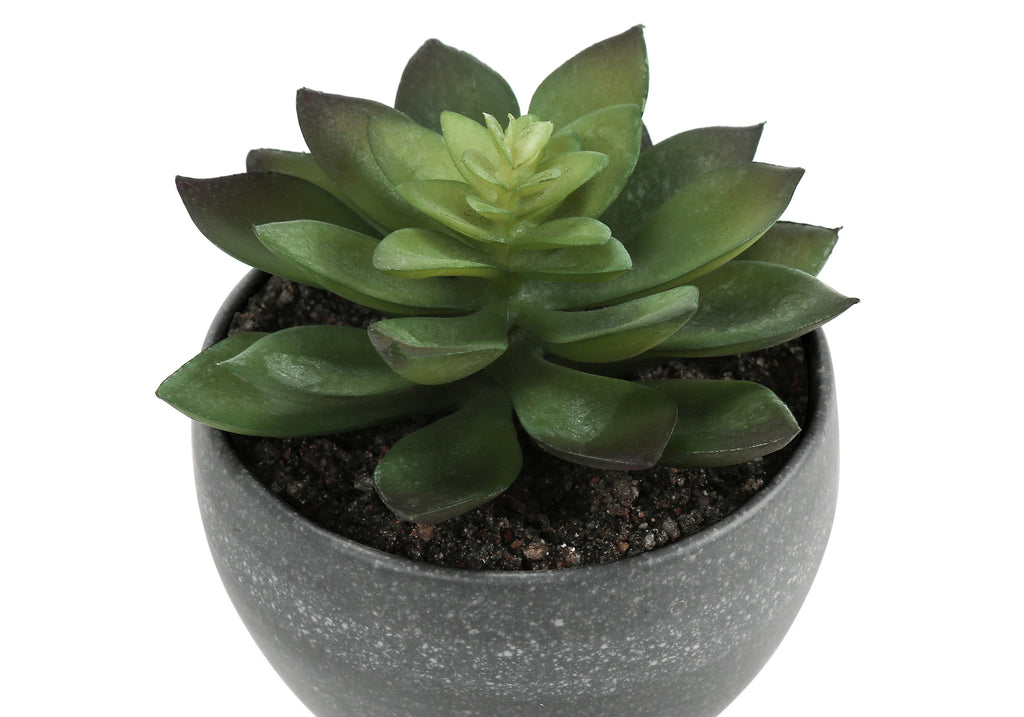 ARTIFICIAL PLANT - 3PCS / 6""H SUCCULENT IN A 3"" GREY POT