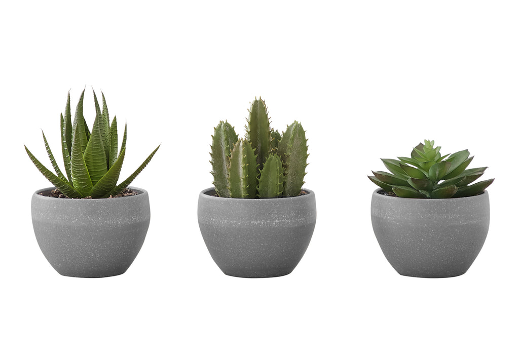 ARTIFICIAL PLANT - 3PCS / 6""H SUCCULENT IN A 3"" GREY POT