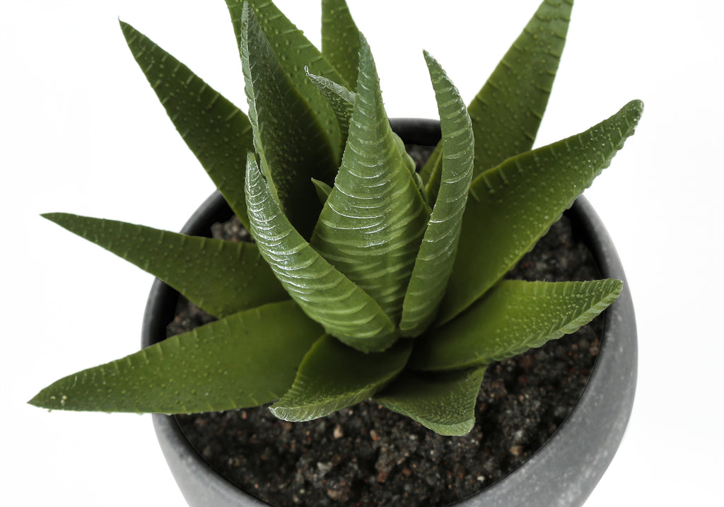 ARTIFICIAL PLANT - 3PCS / 6""H SUCCULENT IN A 3"" GREY POT