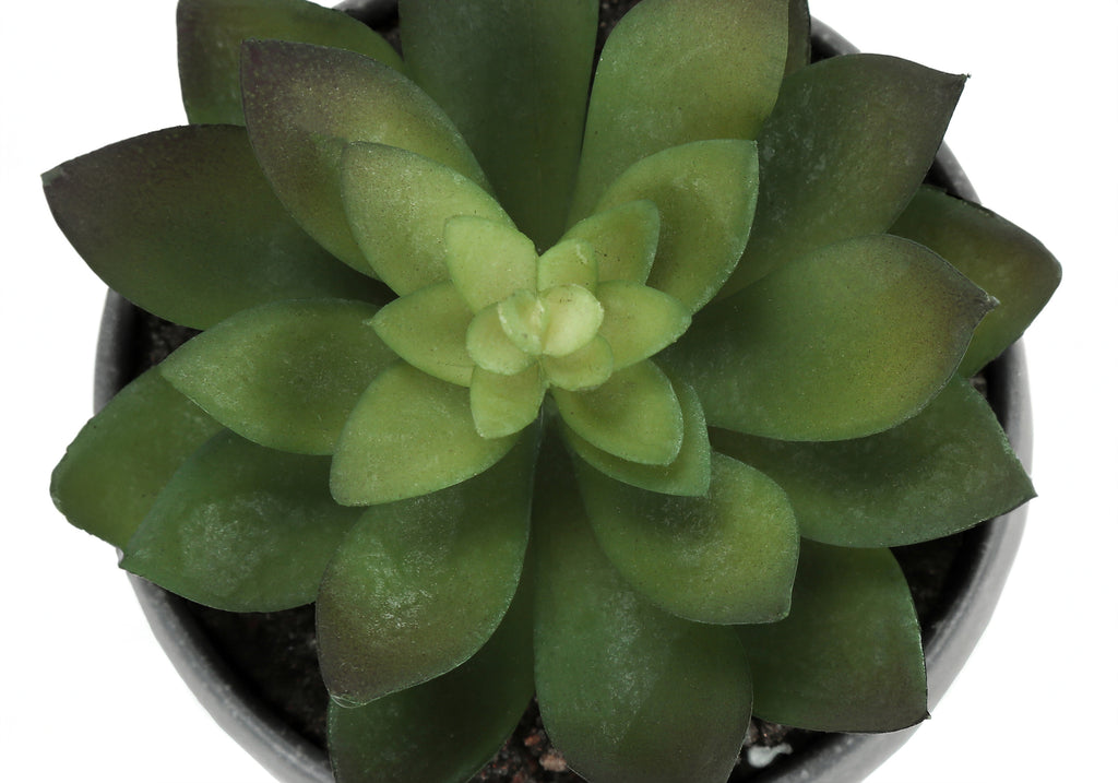 ARTIFICIAL PLANT - 3PCS / 6""H SUCCULENT IN A 3"" GREY POT