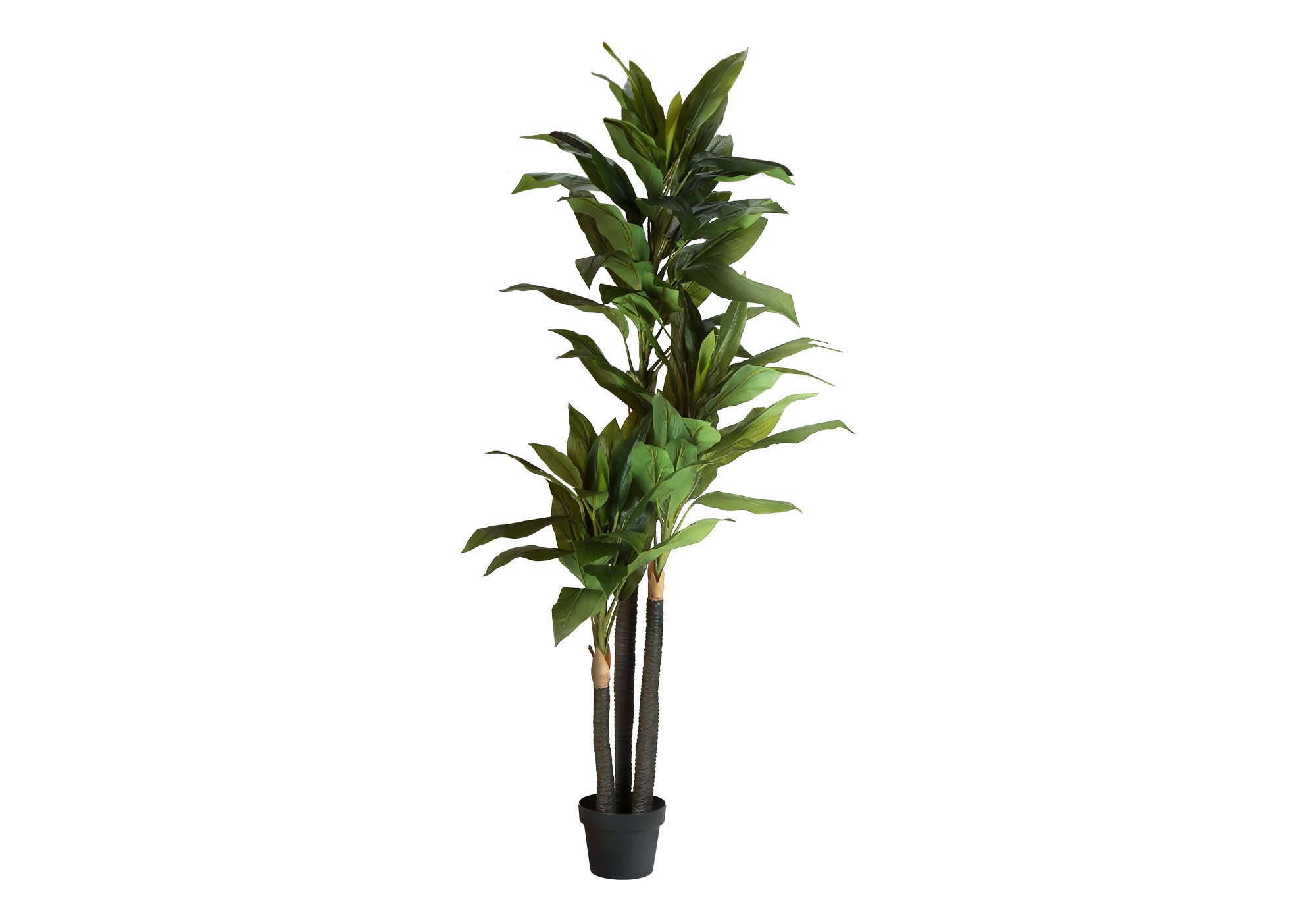 ARTIFICIAL PLANT - 83""H / INDOOR DRACAENA IN A 8"" POT