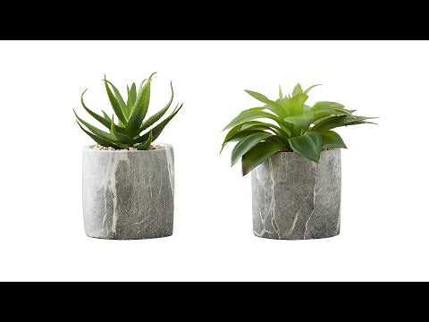 ARTIFICIAL PLANT - 2PCS / 7""H SUCCULENT IN 4"" CEMENT POT