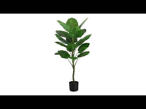 ARTIFICIAL PLANT - 54""H / INDOOR DIEFFENBACHIA / 6"" POT