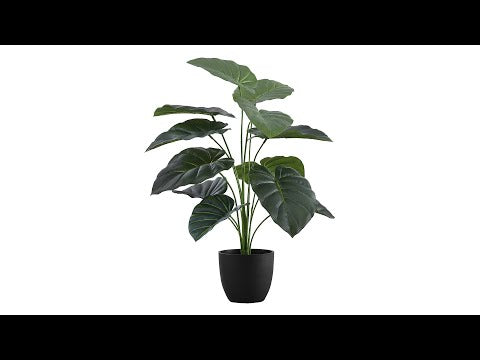 ARTIFICIAL PLANT - 24""H / INDOOR ALOCASIA IN A 5"" POT